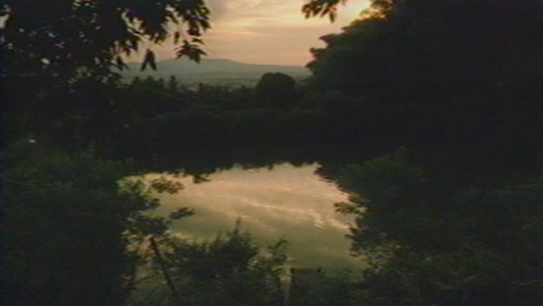 view all
