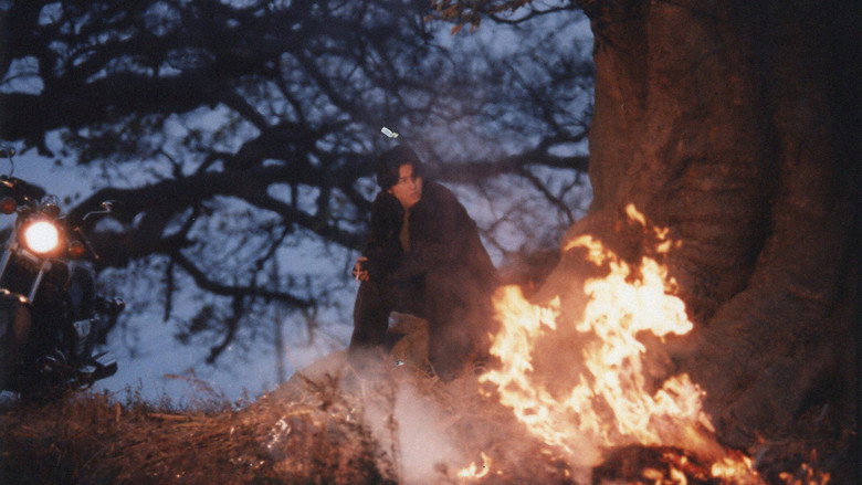 Scene 3