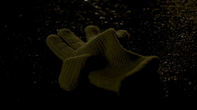 Scene 5