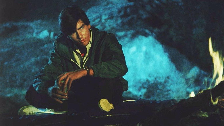 Scene 5