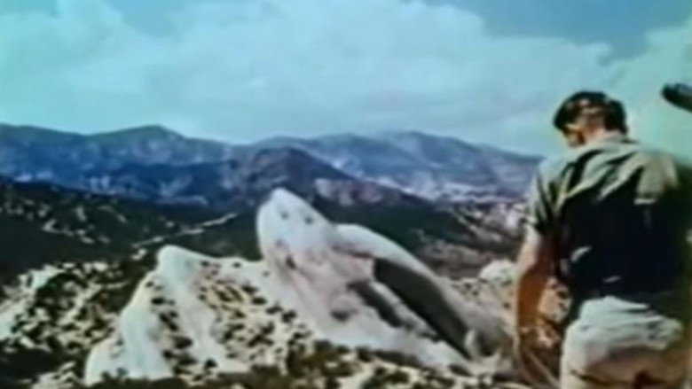 Scene 4