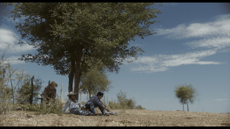 Scene 3