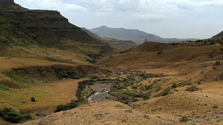 Scene 5