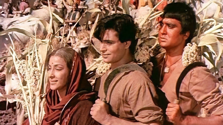 Scene 3
