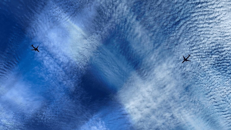 The Summer Heat backdrop