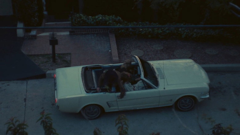 Scene 5