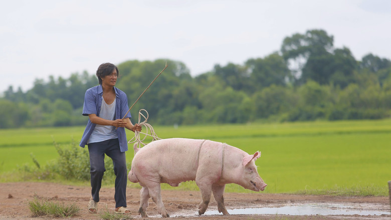 Scene 3