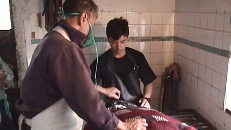 Scene 2