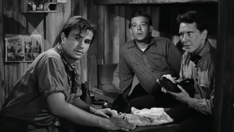 Scene 4
