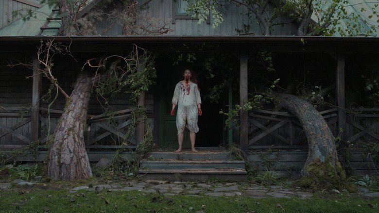 Scene 5