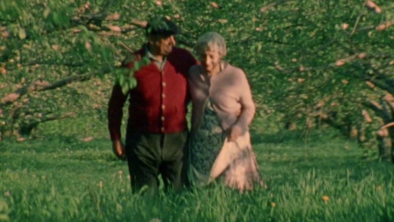 Scene 2