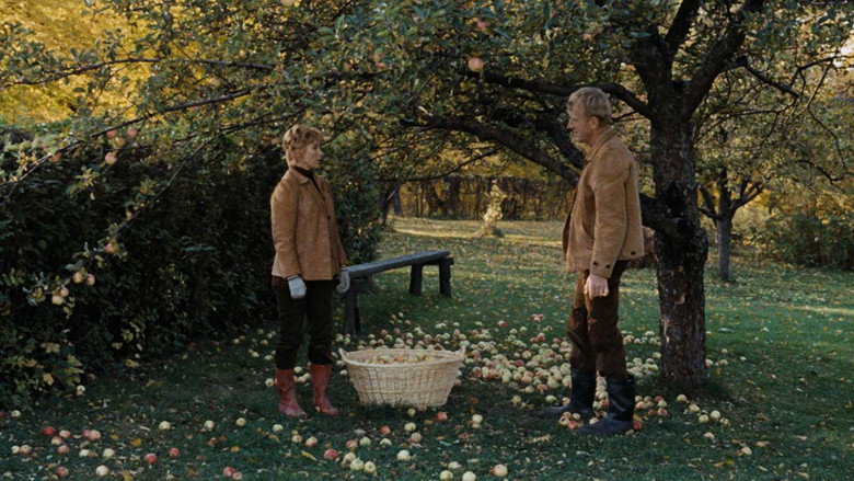 Scene 5