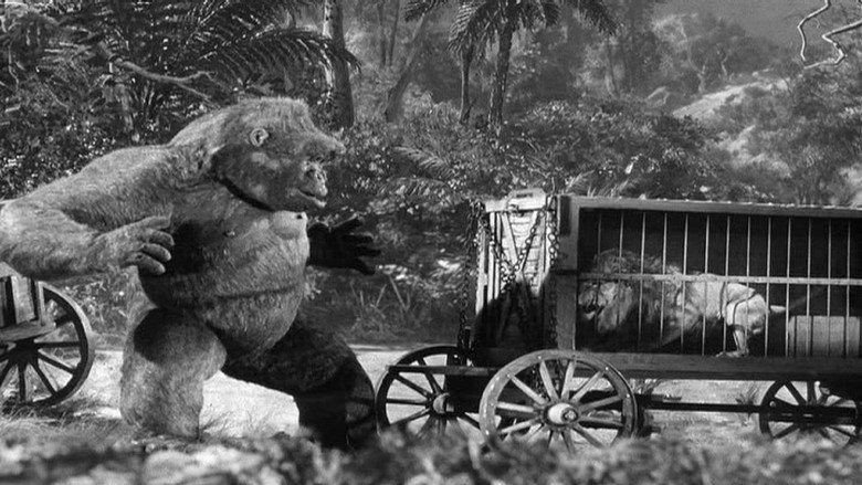 Scene 5