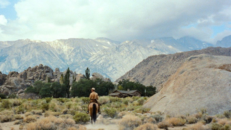 Scene 5