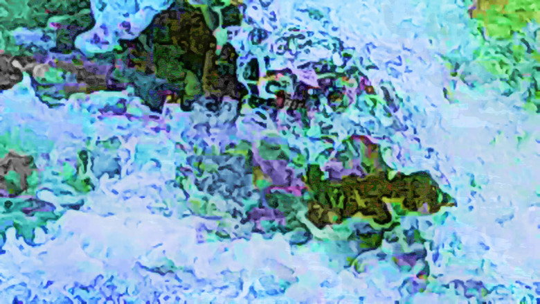 Feel Flows backdrop