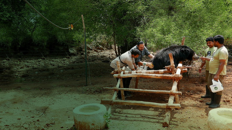 Scene 5