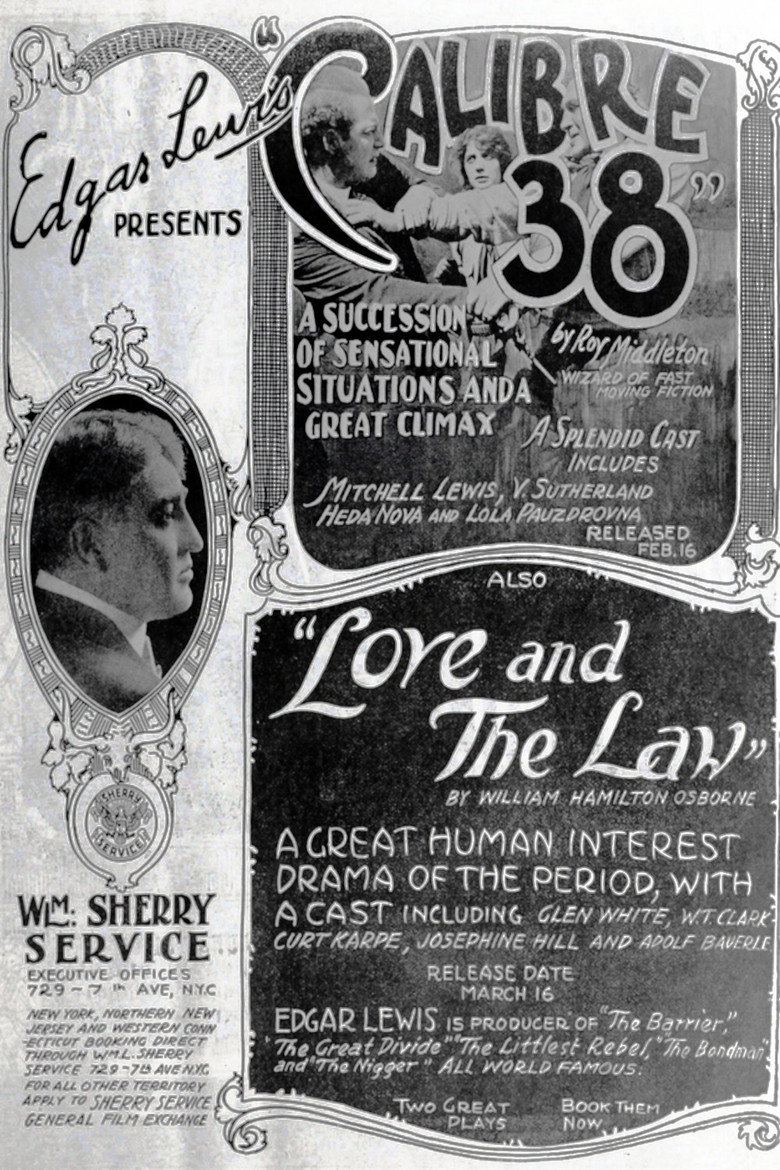 Poster 1