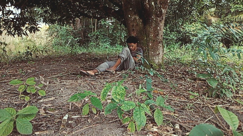 Scene 3