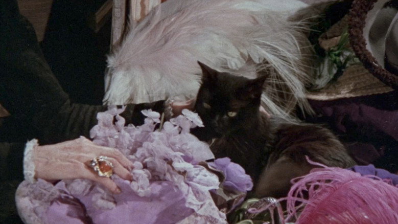 Scene 5