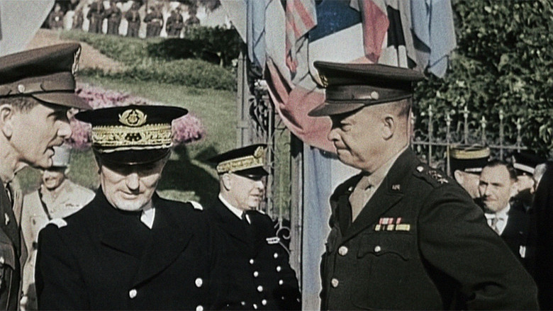 Scene 5