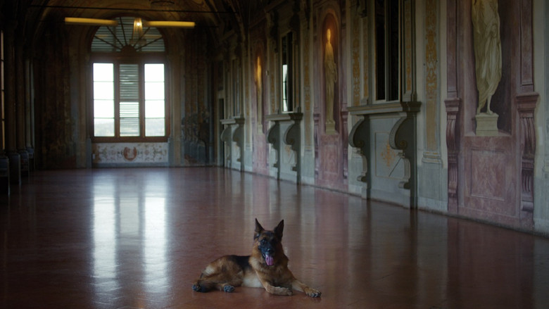 Scene 4