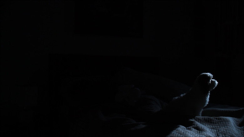 Scene 2