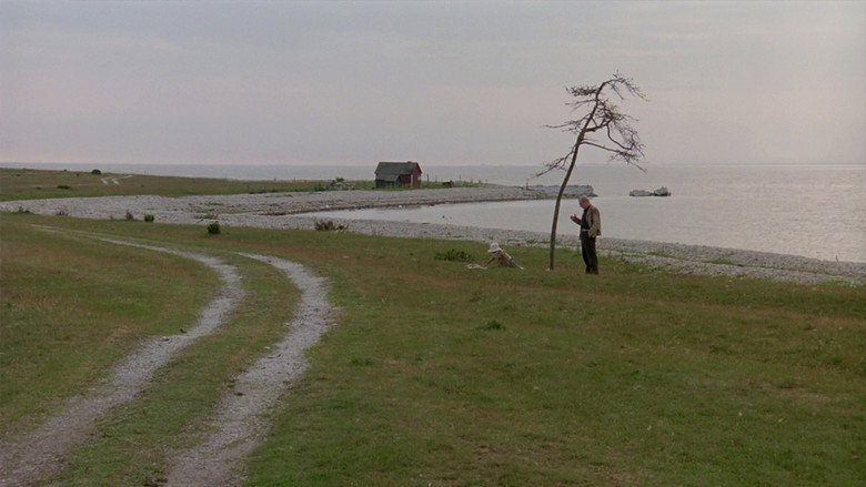 Scene 4