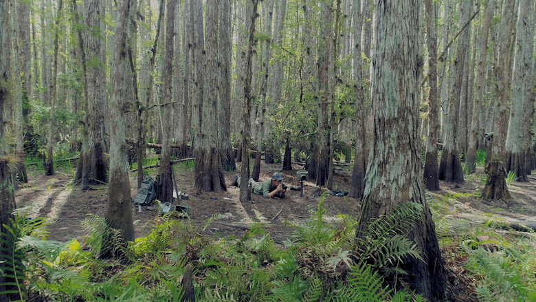 Scene 5