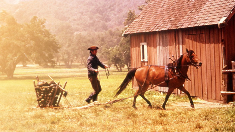Scene 4