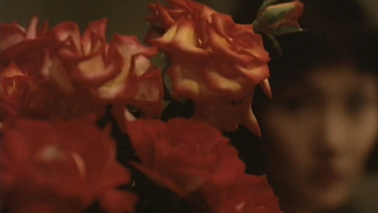 Scene 5
