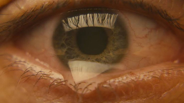 Scene 5