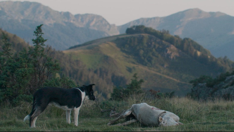 Scene 5