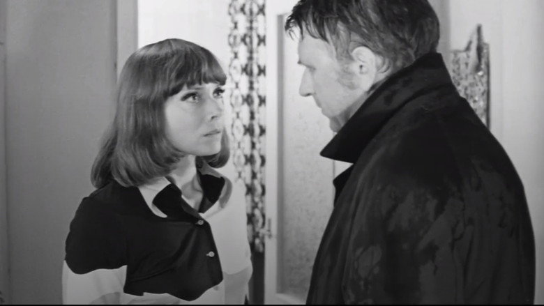 Scene 5