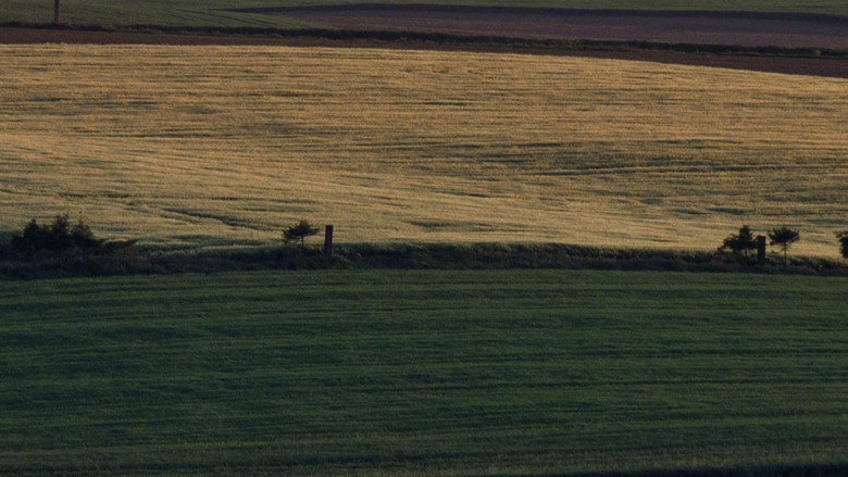 Scene 4