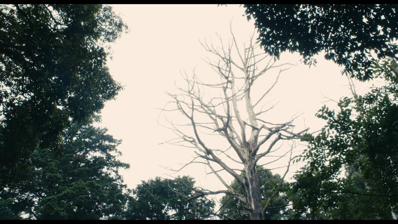 Scene 2