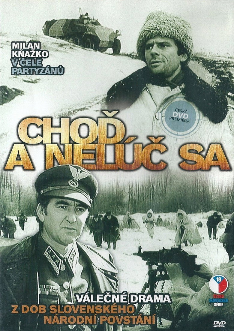 Poster 1