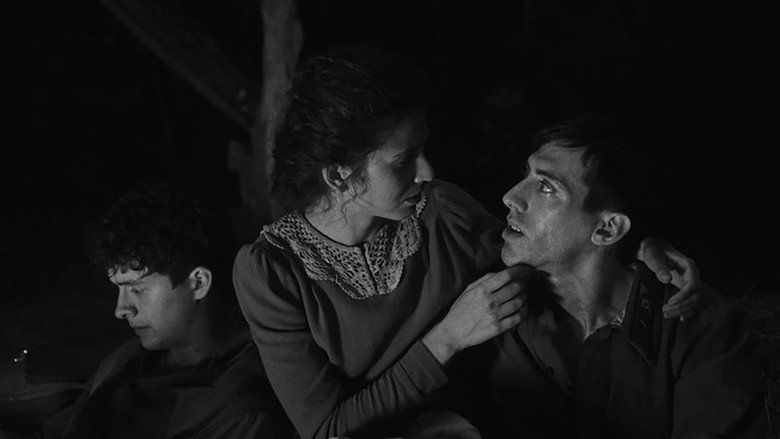 Scene 3