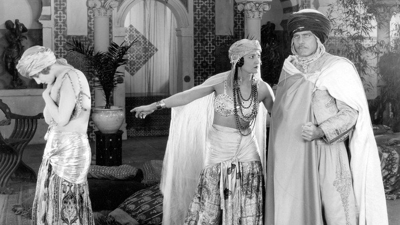 Scene 5