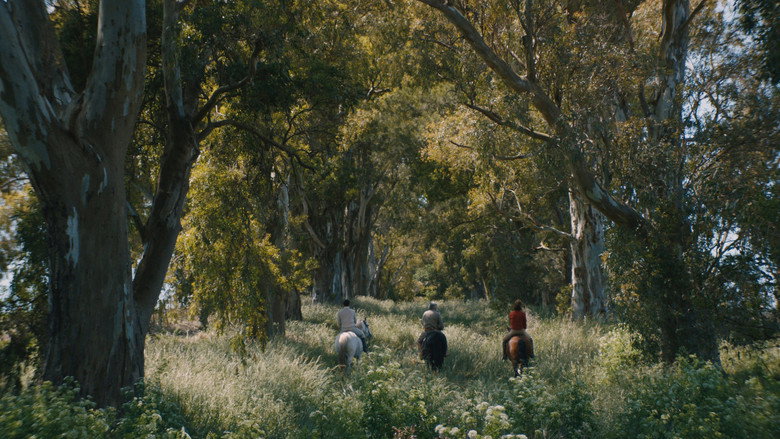 Scene 5