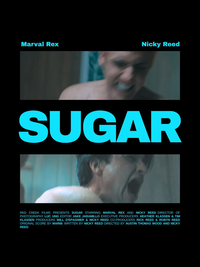 Poster 2