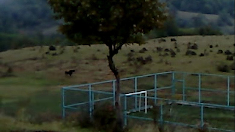 Scene 3
