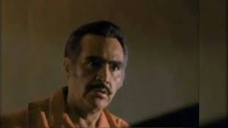 Mi Querido Viejo