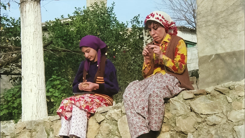 Scene 5