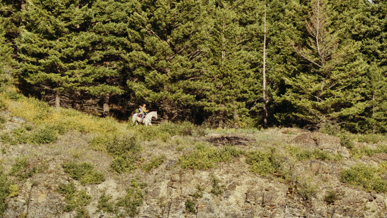 view all