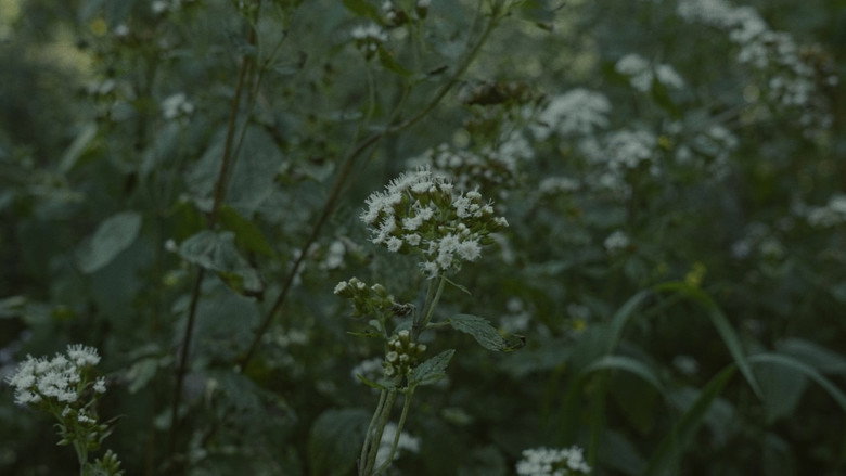 Scene 5