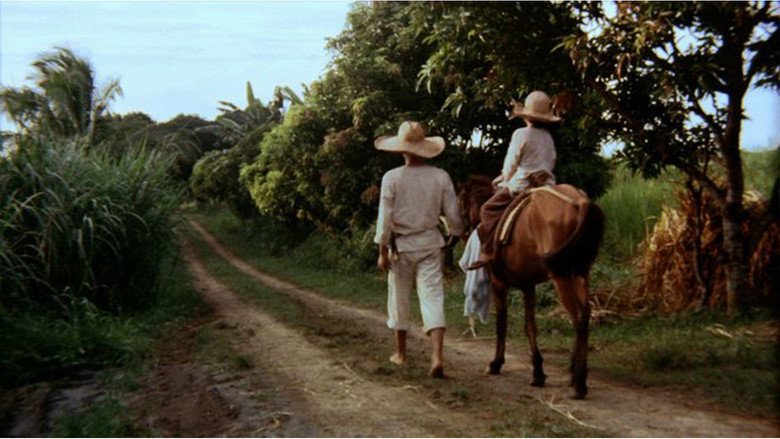 Scene 4