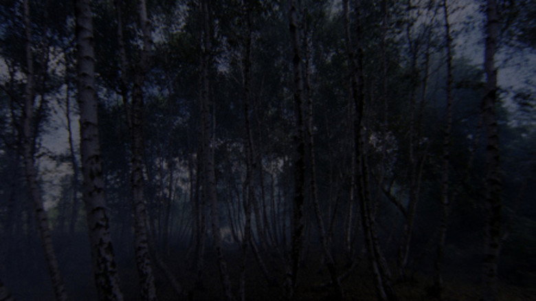Scene 5