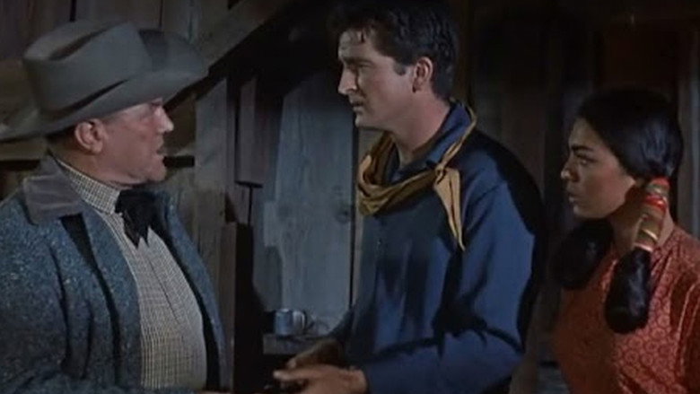 Scene 3
