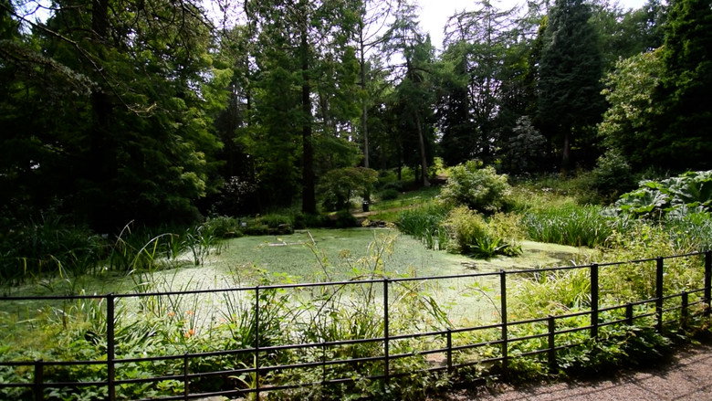 Scene 4
