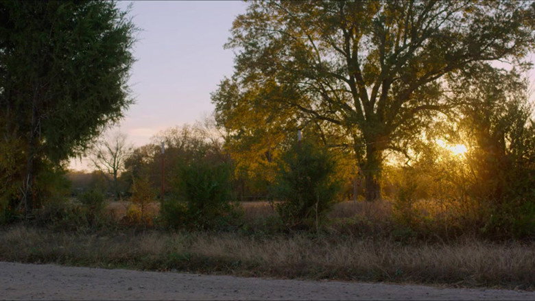 Scene 5